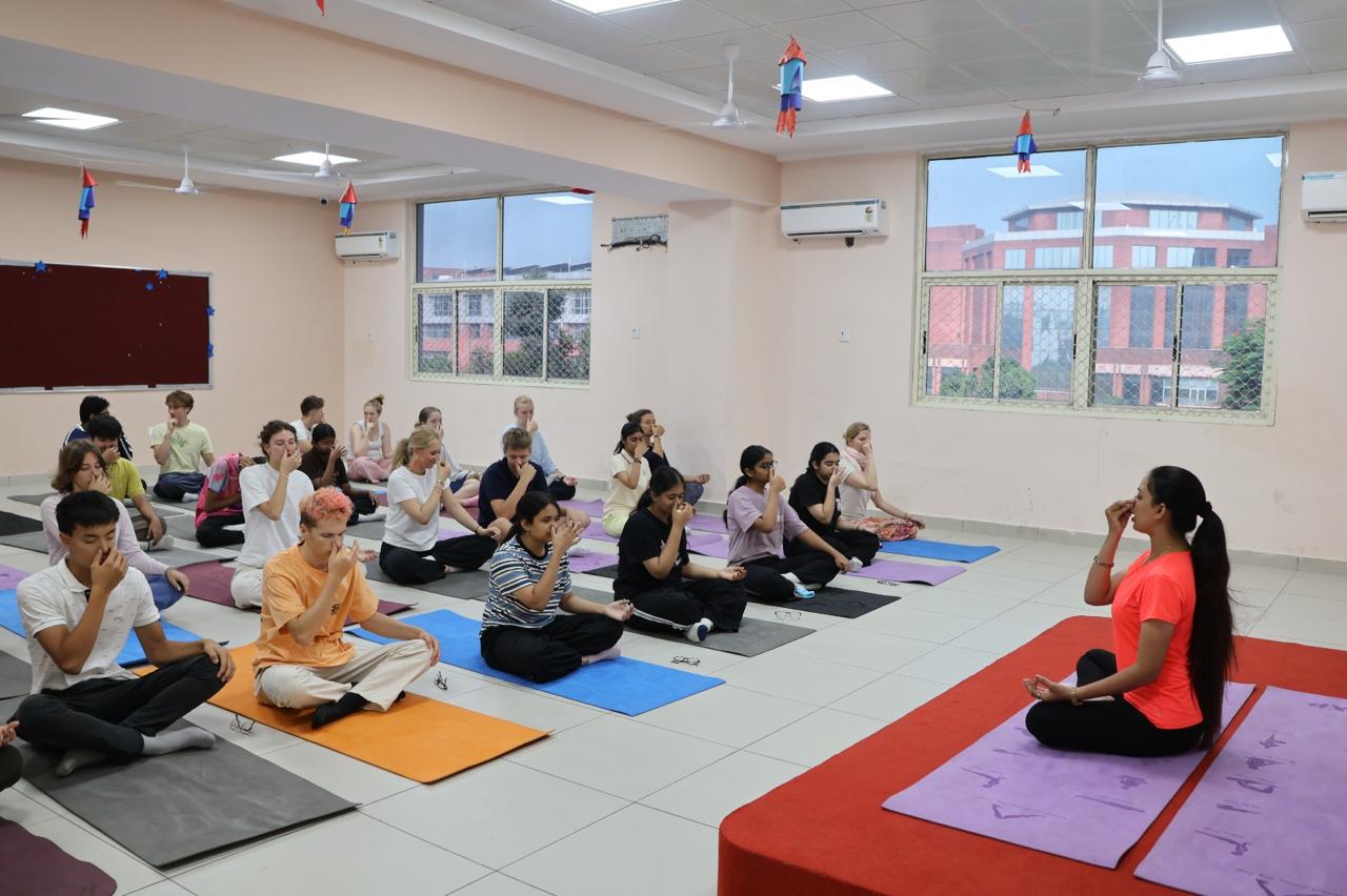 A Moment of Calm: Yoga Session